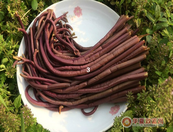 绿润蕨菜泡菜加盟